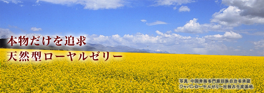 本物だけを追求天然型ローヤルゼリー　写真：中国青海省門源回族自治省承認ジャパンローヤルゼリー社独占生産基地