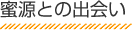 蜜源との出会い