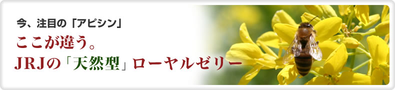 今、注目の「アピシン」ここが違う。JRJの「天然型」ローヤルゼリー