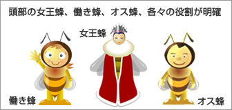 頭部の女王蜂、働き蜂、オス蜂、各々の役割が明確