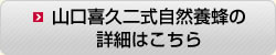 山口喜久二式自然養蜂の詳細はこちら