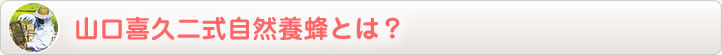 山口喜久二式自然養蜂とは?