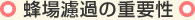 蜂場濾過の重要性