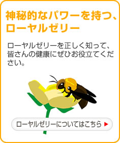 神秘的なパワーを持つ、ローヤルゼリー