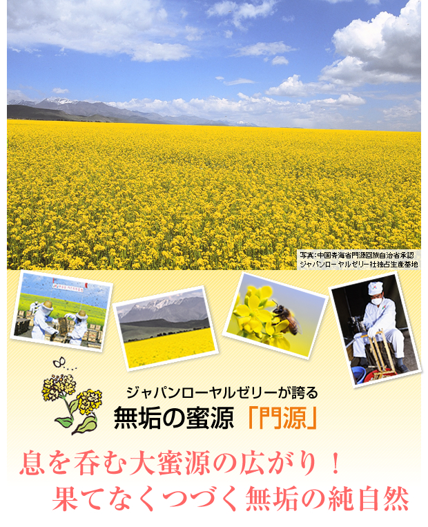 ジャパンローヤルゼリーが誇る無垢の蜜源「門源」