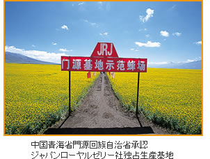 中国青海省門源回族自治省承認ジャパンローヤルゼリー社独占生産基地