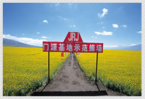 写真：門源基地