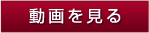 動画を見る