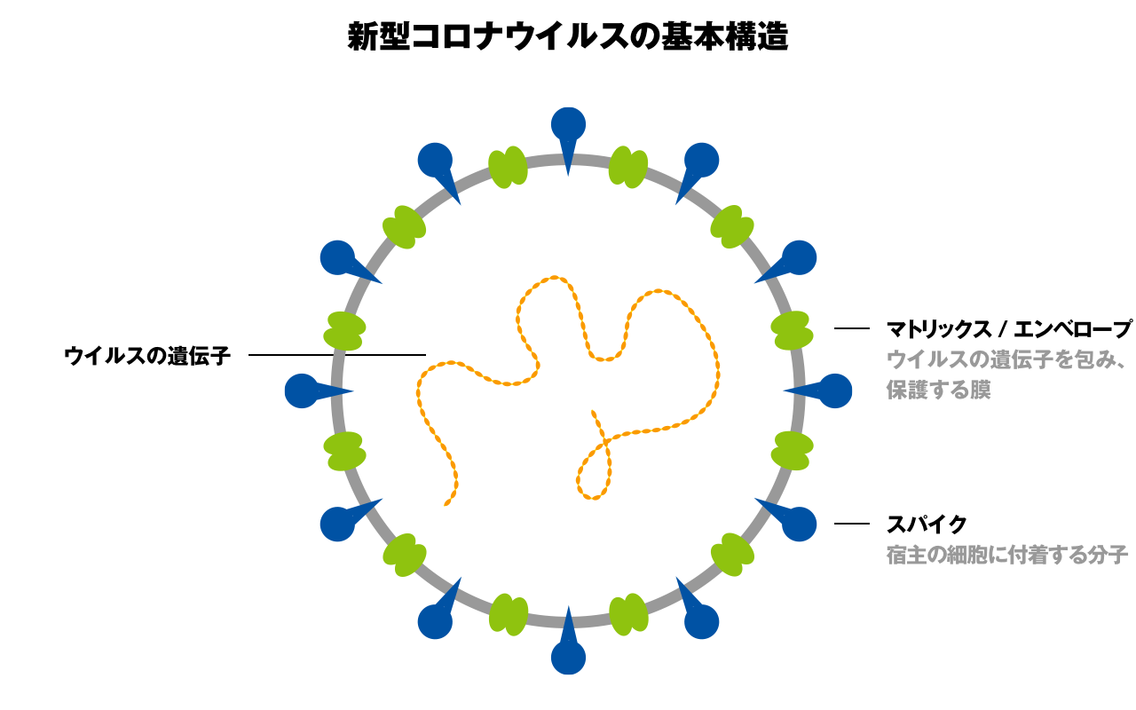 コビット の 意味