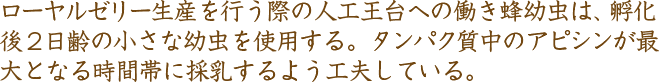ローヤルゼリー生産を行う際の人工王台への働き蜂幼虫は、孵化後２日齢の小さな幼虫を使用する。タンパク質中のアピシンが最大となる時間帯に採乳するよう工夫している。