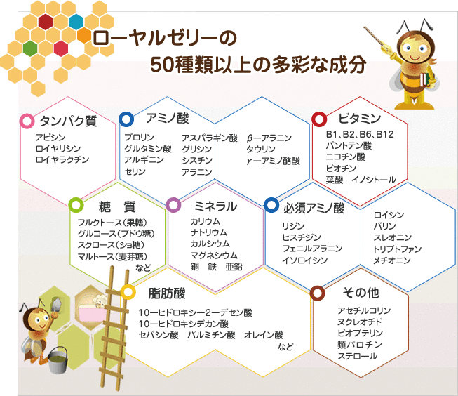 JRJのこだわり ローヤルゼリーとは｜ジャパンローヤルゼリー